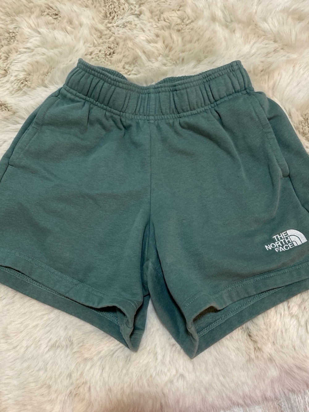 The North Face Teal Green Athletic Shorts with Logo